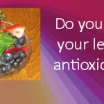 The Effectiveness of Antioxidants for Weight Loss