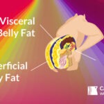 How to Lose Belly Fat