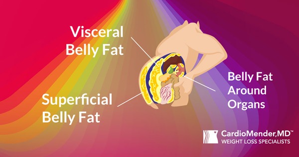 how to lose belly fat