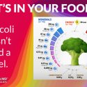 How Food Labels Show Minerals And Carbohydrates