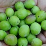 Food Matters: Good Food is Good Medicine!