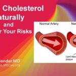 How to Reduce Cholesterol Naturally Using Plant Sterols and Stanols