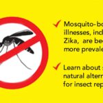 How to Protect Yourself and Your Family from the Zika Virus Naturally