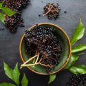 Elderberry Immune Support & Weight Loss
