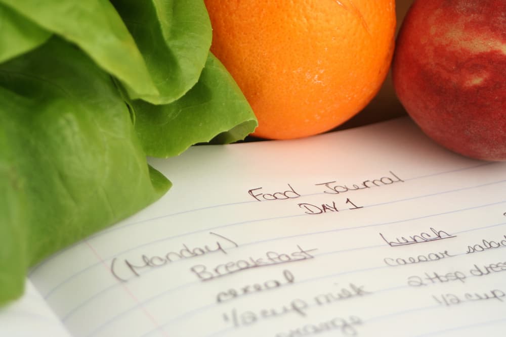 Food Journal with Fruit in the Background