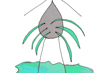 Leaky Gut Stick Figure