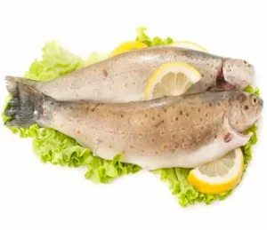 fish oil supplements