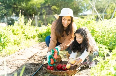 Women Harvesting Vegetables At Farm Picture Id1200008265